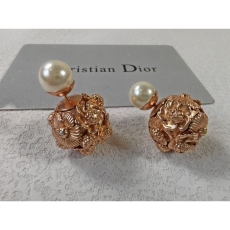 Christian Dior Earrings